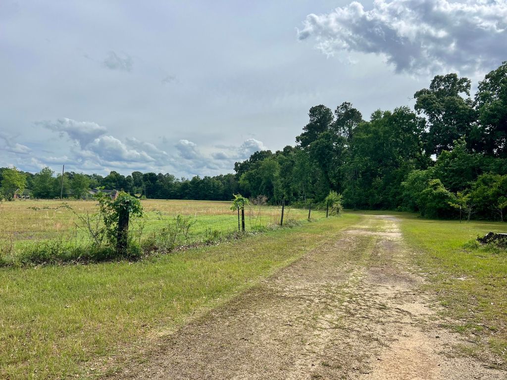 Photo of 2041 Broome Road, Hephzibah, GA 30815 (MLS # 555291)