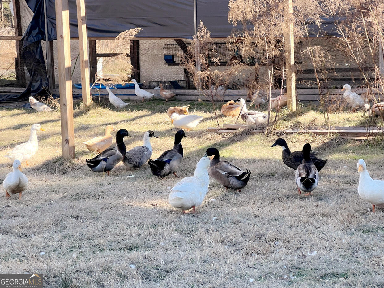 1274 Ga Highway 171 Road