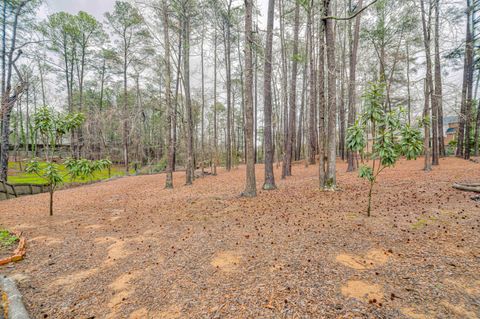 Tiny photo for 451 Creek Ridge, Martinez, GA 30907 (MLS # 552921)