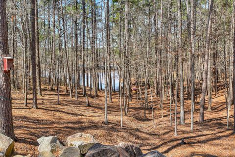 Tiny photo for 185 Bereau Dr Drive, McCormick, SC 29835 (MLS # 539386)