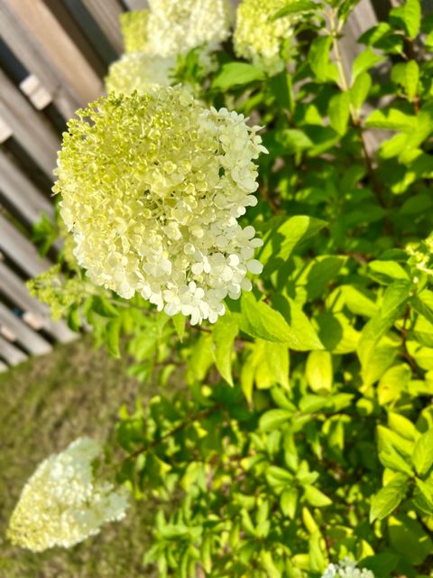 Tiny photo for 319 Bordeaux Drive, Thomson, GA 30824 (MLS # 544150)