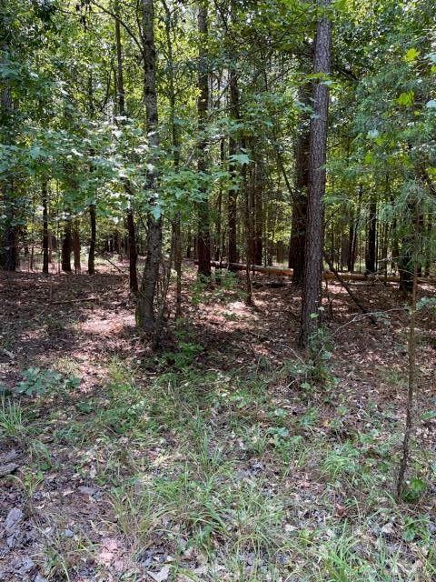 Lot 59 Wisteria Drive, Lincolnton, GA 30817 - #: 474072