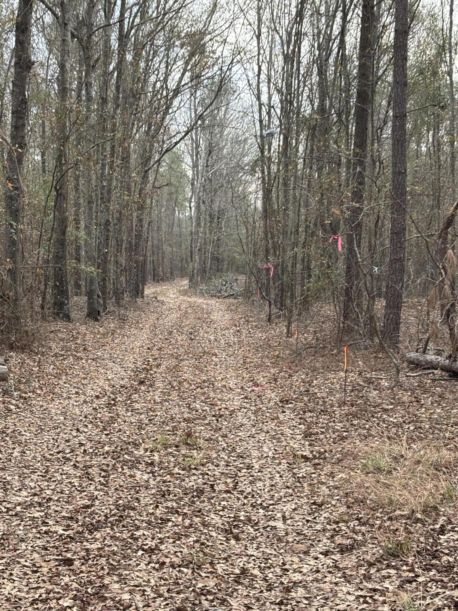 745 Wright Allen Road