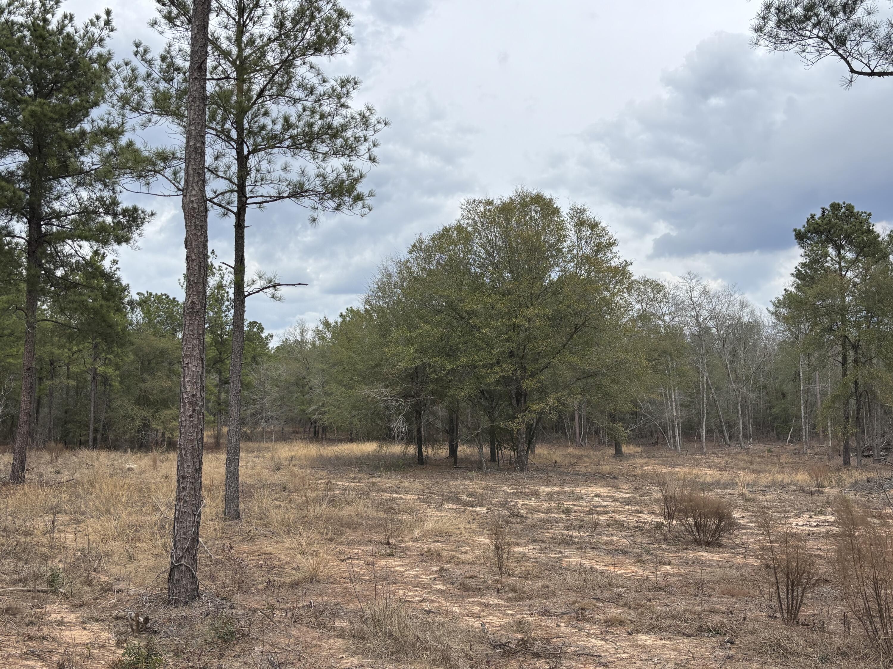 745 Wright Allen Road