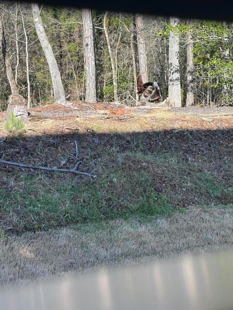Tiny photo for 1030 Candleberry Drive, Grovetown, GA 30813 (MLS # 548599)