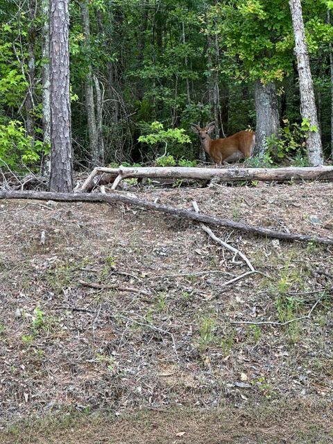 Tiny photo for 1030 Candleberry Drive, Grovetown, GA 30813 (MLS # 548599)