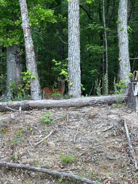 Tiny photo for 1030 Candleberry Drive, Grovetown, GA 30813 (MLS # 548599)