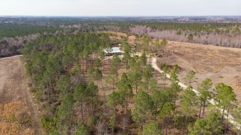 Tiny photo for 2039 BUTTERMILK Road, Portal, GA 30450 (MLS # 538190)