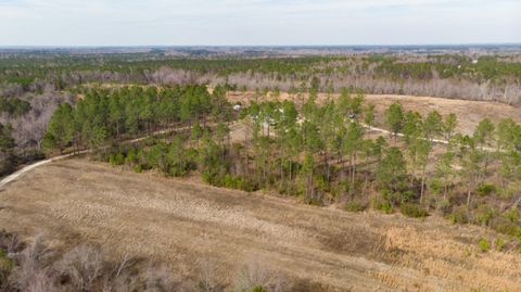 Tiny photo for 2039 BUTTERMILK Road, Portal, GA 30450 (MLS # 538190)