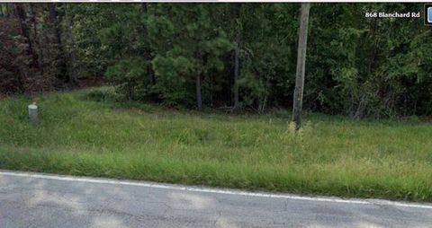 Photo of 868 BLANCHARD Road, Evans, GA 30809 (MLS # 463166)