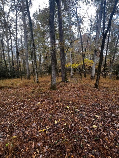 Photo of 0 Pate Mill Road, Warrenton, GA 30828 (MLS # 551427)