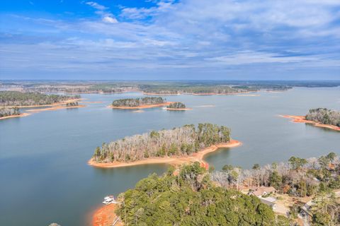 Photo of 5977 Rousseau Creek Road, Thomson, GA 30824 (MLS # 551468)
