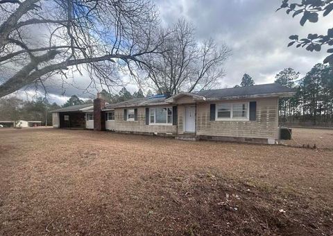 Photo of 575 Mccarty Road, Sylvester, GA 31791 (MLS # 552263)