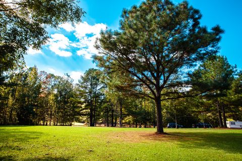 Tiny photo for 3305 White Tiger Road, Appling, GA 30802 (MLS # 548283)