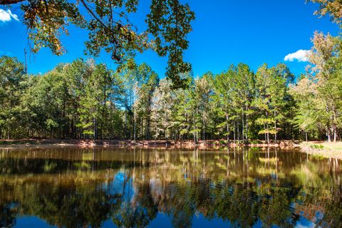 Tiny photo for 3305 White Tiger Road, Appling, GA 30802 (MLS # 548283)