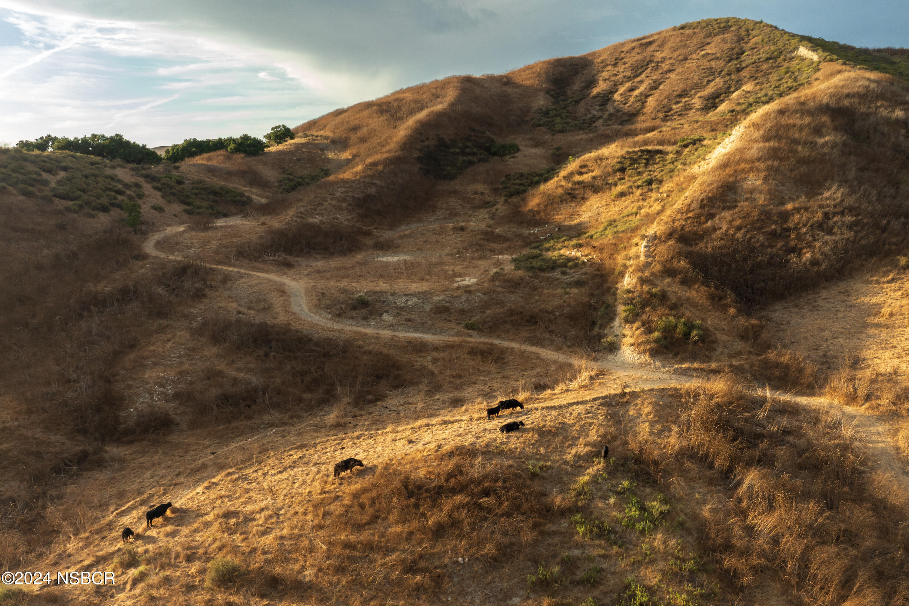 Lompoc, California 93436, United States, 3 Bedrooms Bedrooms, ,3 BathroomsBathrooms,Residential,Active,48651