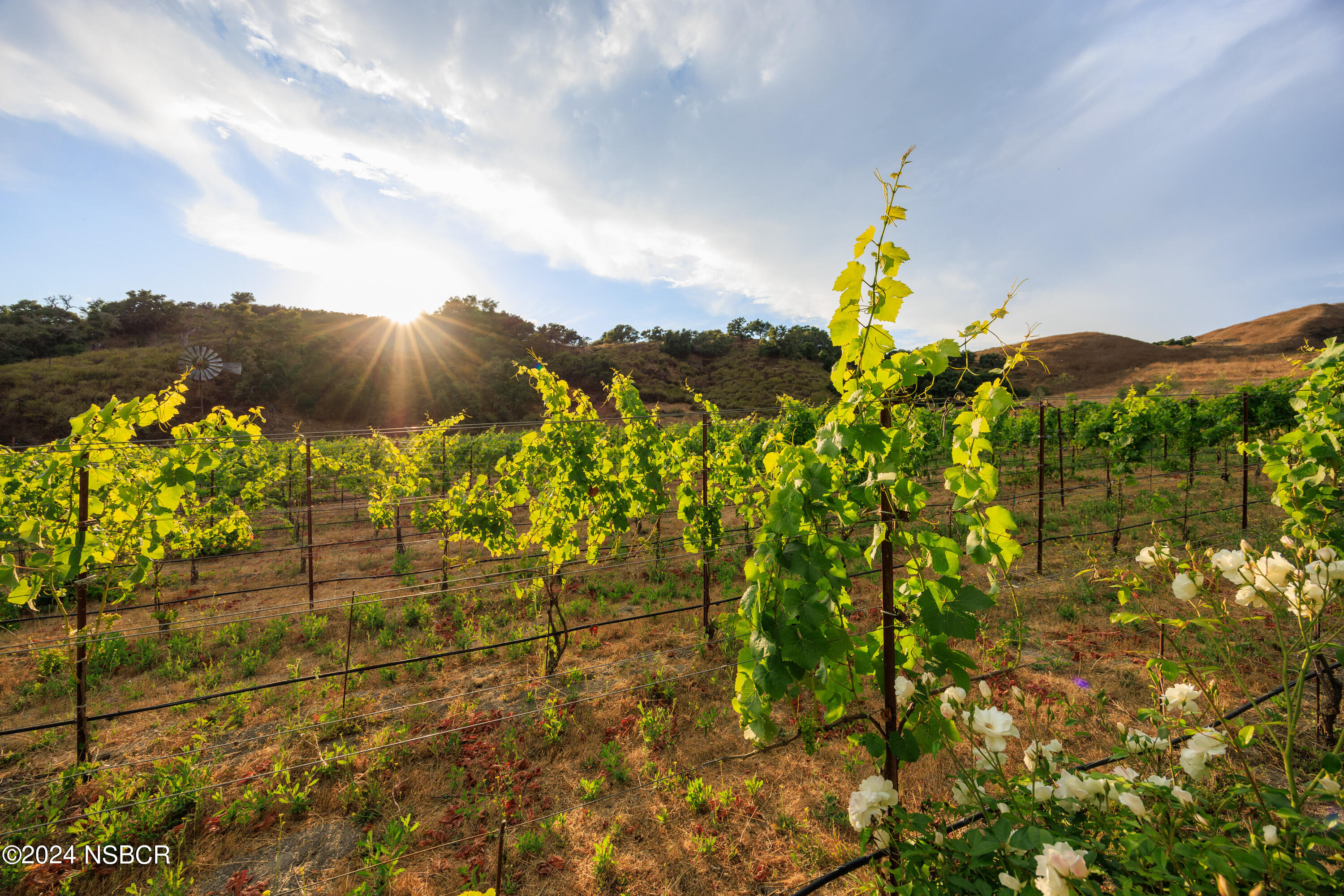 Lompoc, California 93436, United States, 3 Bedrooms Bedrooms, ,3 BathroomsBathrooms,Residential,Active,48651