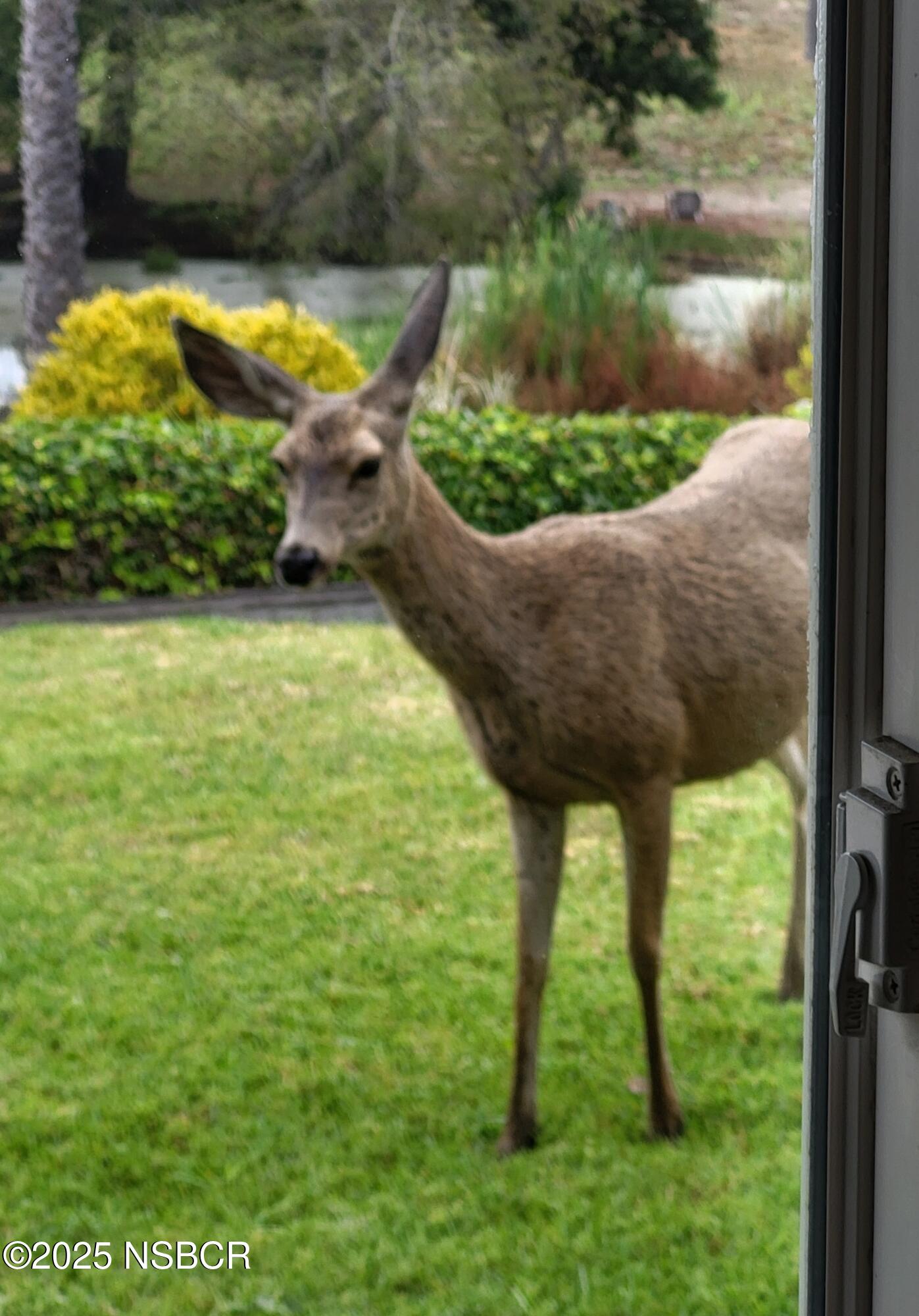 Lompoc, California 93436, United States, 4 Bedrooms Bedrooms, ,3 BathroomsBathrooms,Residential,Active,171348