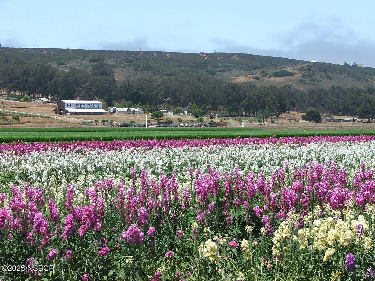 Lompoc, California 93436, United States, 4 Bedrooms Bedrooms, ,3 BathroomsBathrooms,Residential,Active,171348