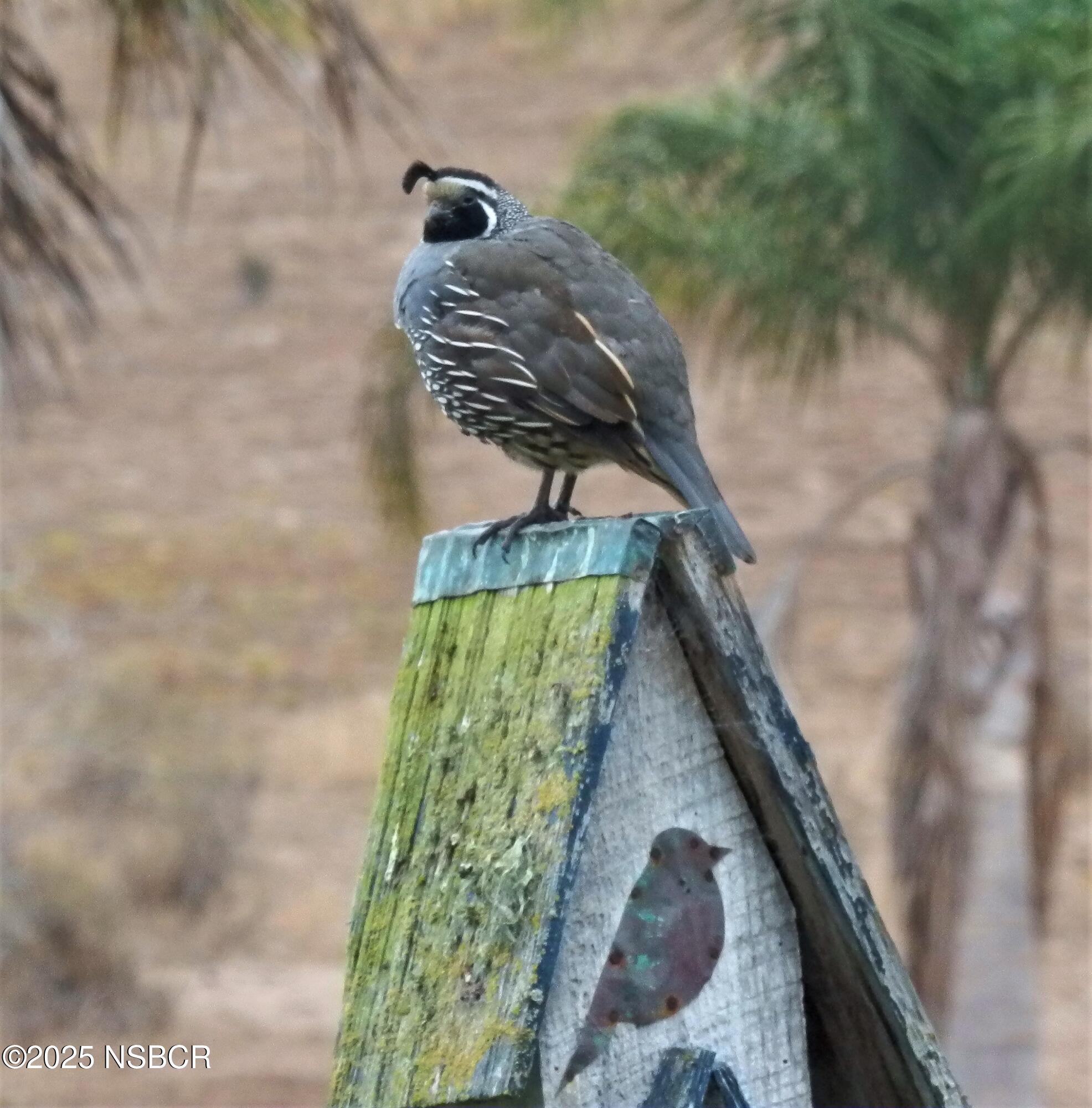 Lompoc, California 93436, United States, 4 Bedrooms Bedrooms, ,3 BathroomsBathrooms,Residential,Active,171348