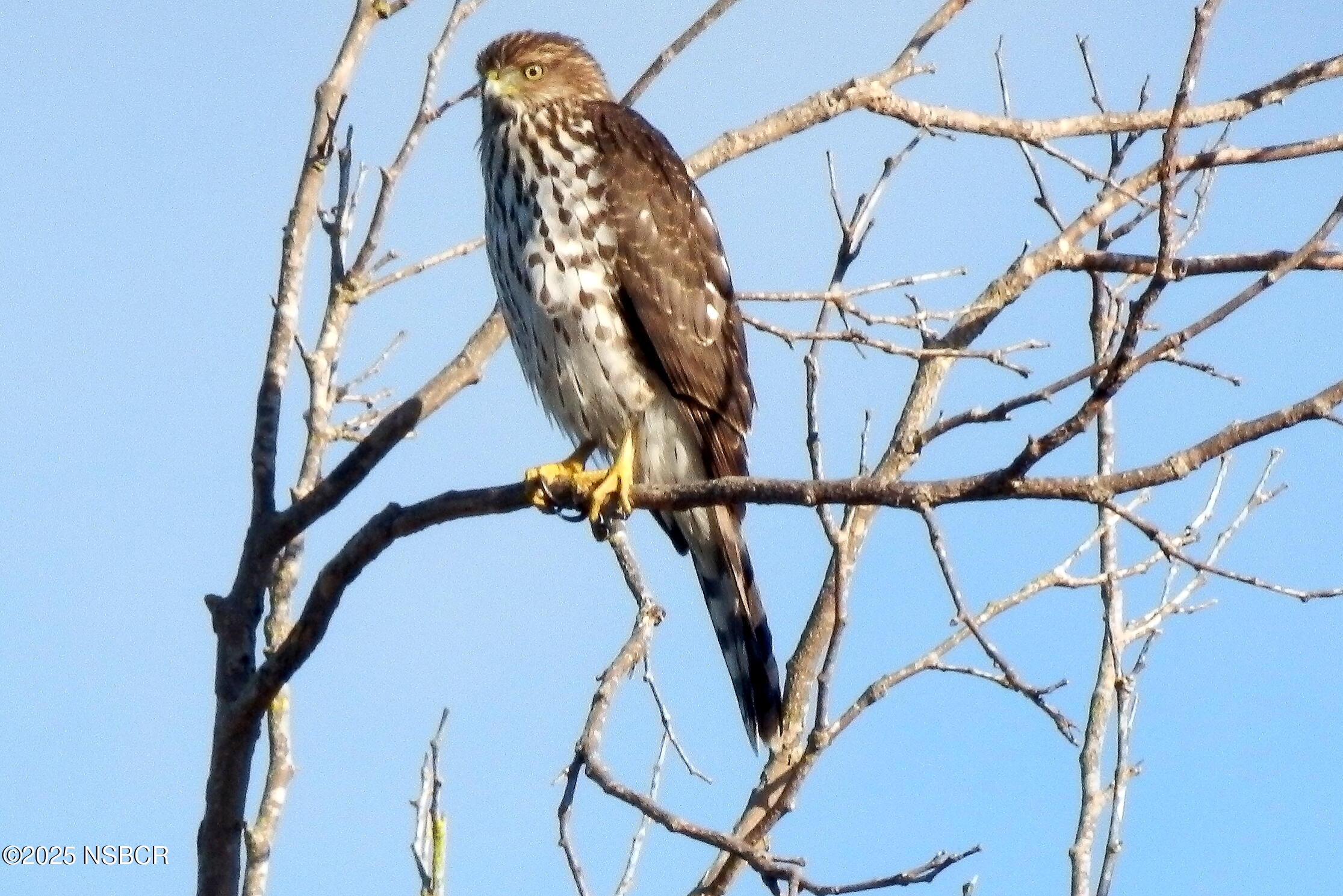 Lompoc, California 93436, United States, 4 Bedrooms Bedrooms, ,3 BathroomsBathrooms,Residential,Active,171348