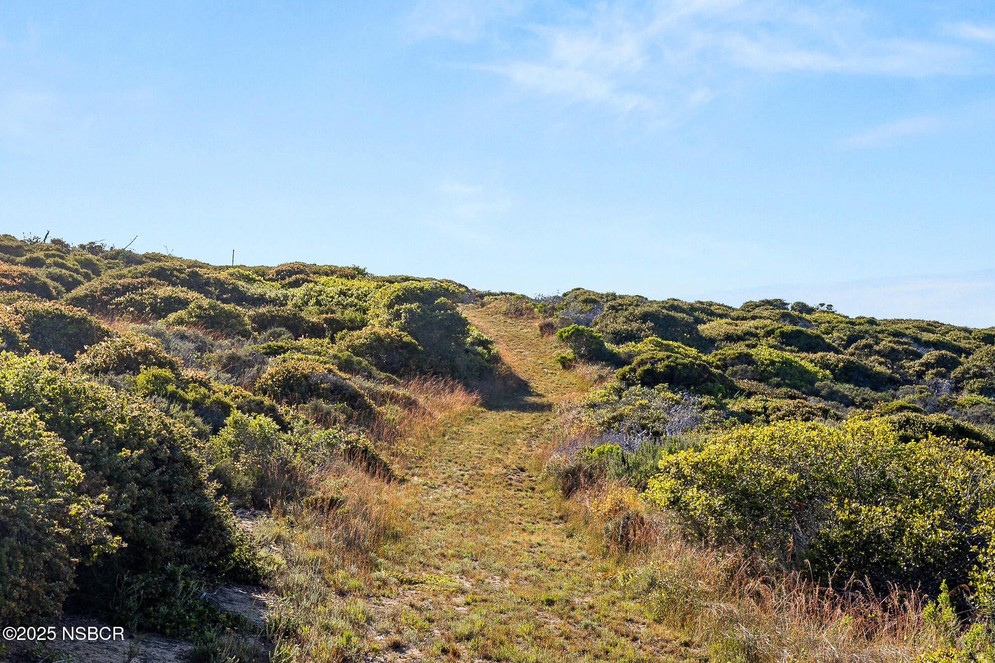Lompoc, California 93436, United States, 4 Bedrooms Bedrooms, ,3 BathroomsBathrooms,Residential,Active,171348