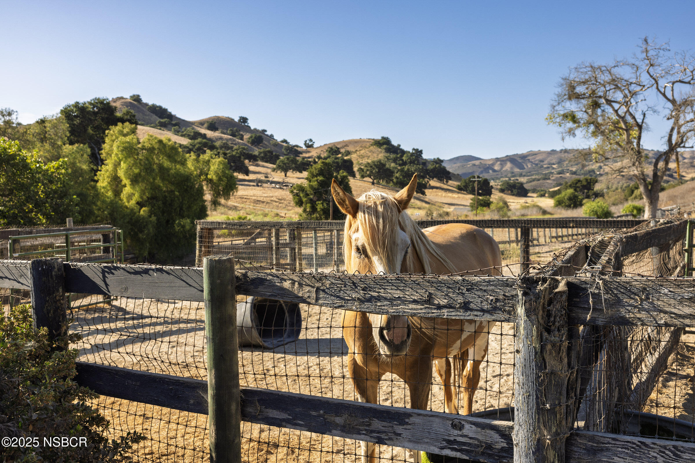 Buellton, California 93427, United States, 3 Bedrooms Bedrooms, ,3 BathroomsBathrooms,Residential,Active,196043
