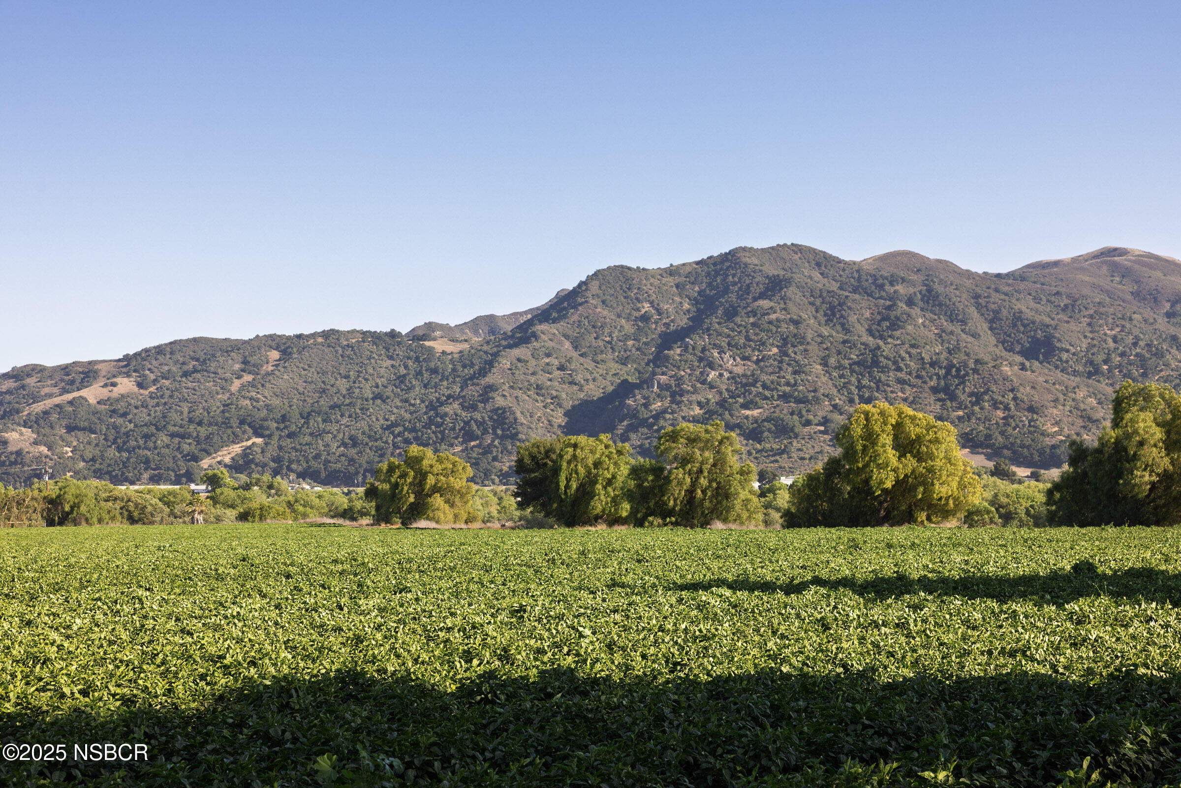 Buellton, California 93427, United States, 3 Bedrooms Bedrooms, ,3 BathroomsBathrooms,Residential,Active,196043