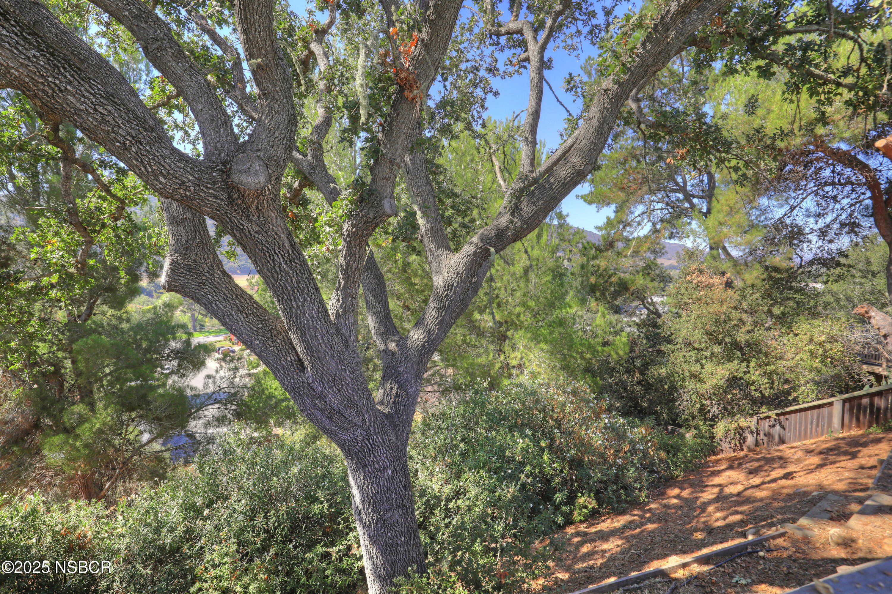 Solvang, California 93463, United States, 3 Bedrooms Bedrooms, ,3 BathroomsBathrooms,Residential,Active,225175