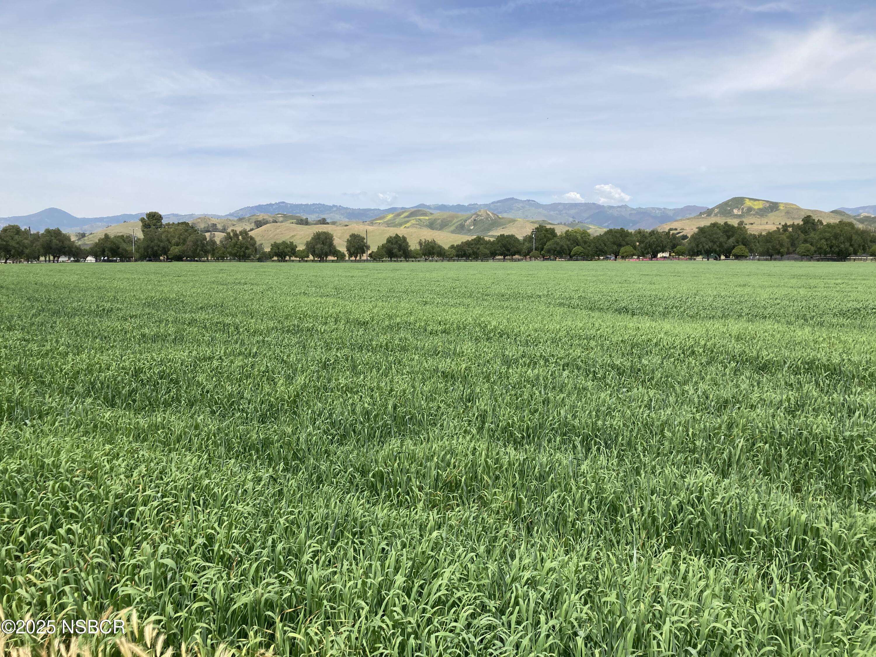 Santa Ynez, California 93460, United States, ,Land,Active,14838