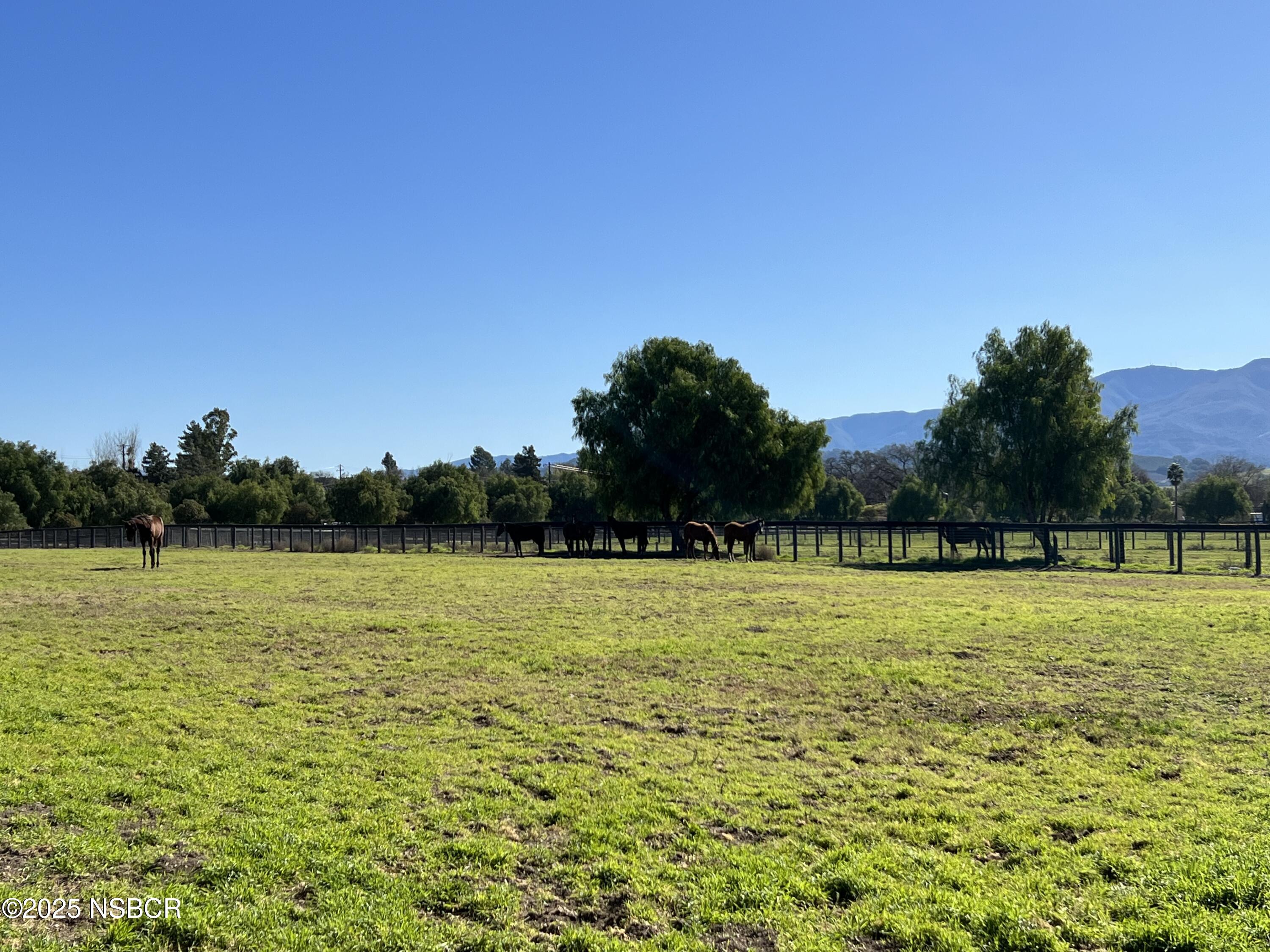 Santa Ynez, California 93460, United States, ,Land,Active,14838