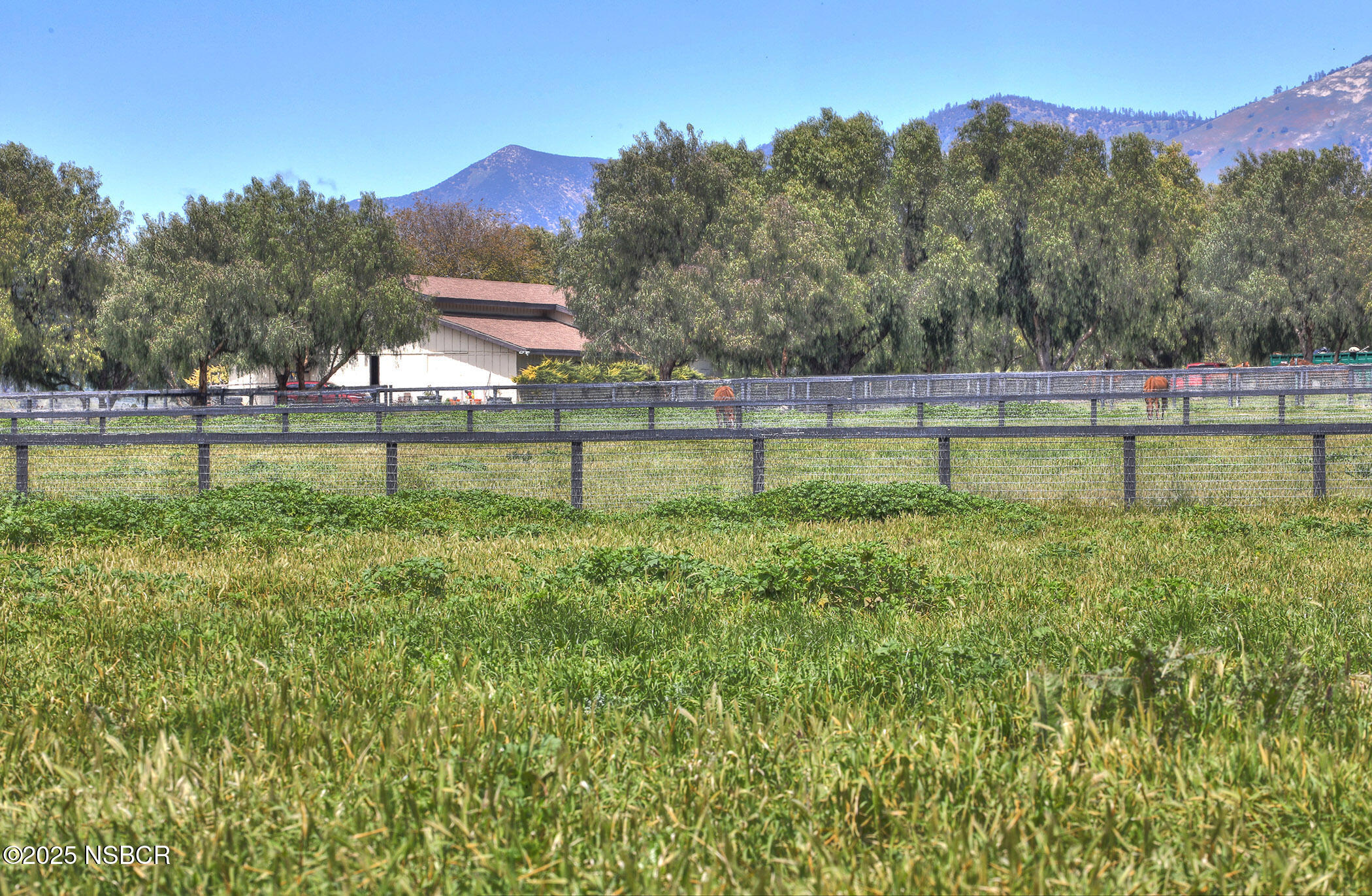 Santa Ynez, California 93460, United States, ,Land,Active,14838