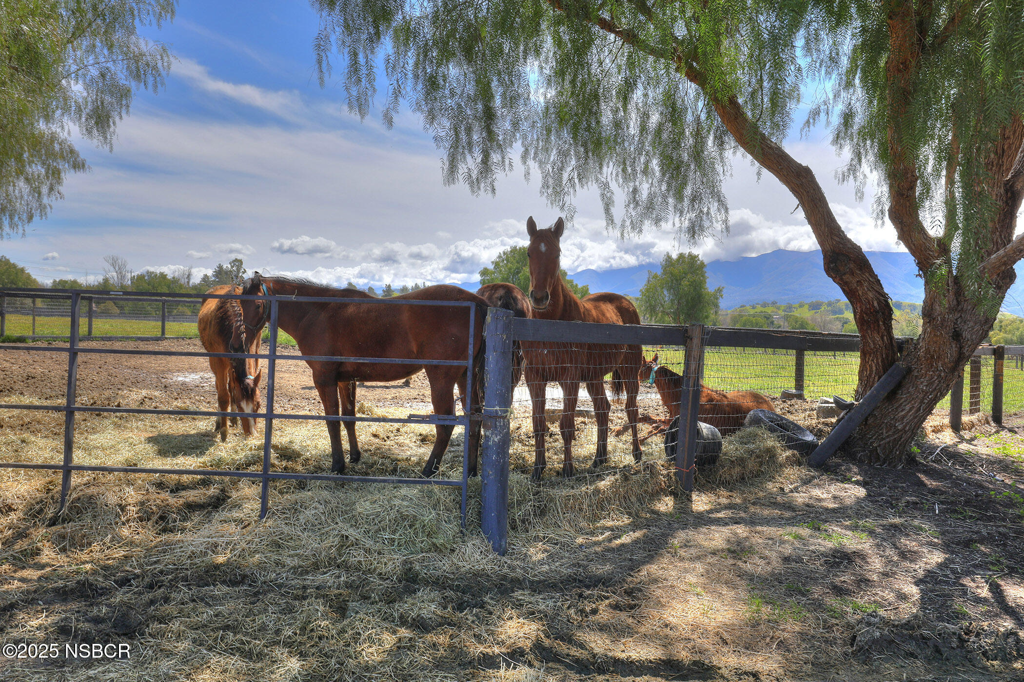 Santa Ynez, California 93460, United States, ,Land,Active,14838