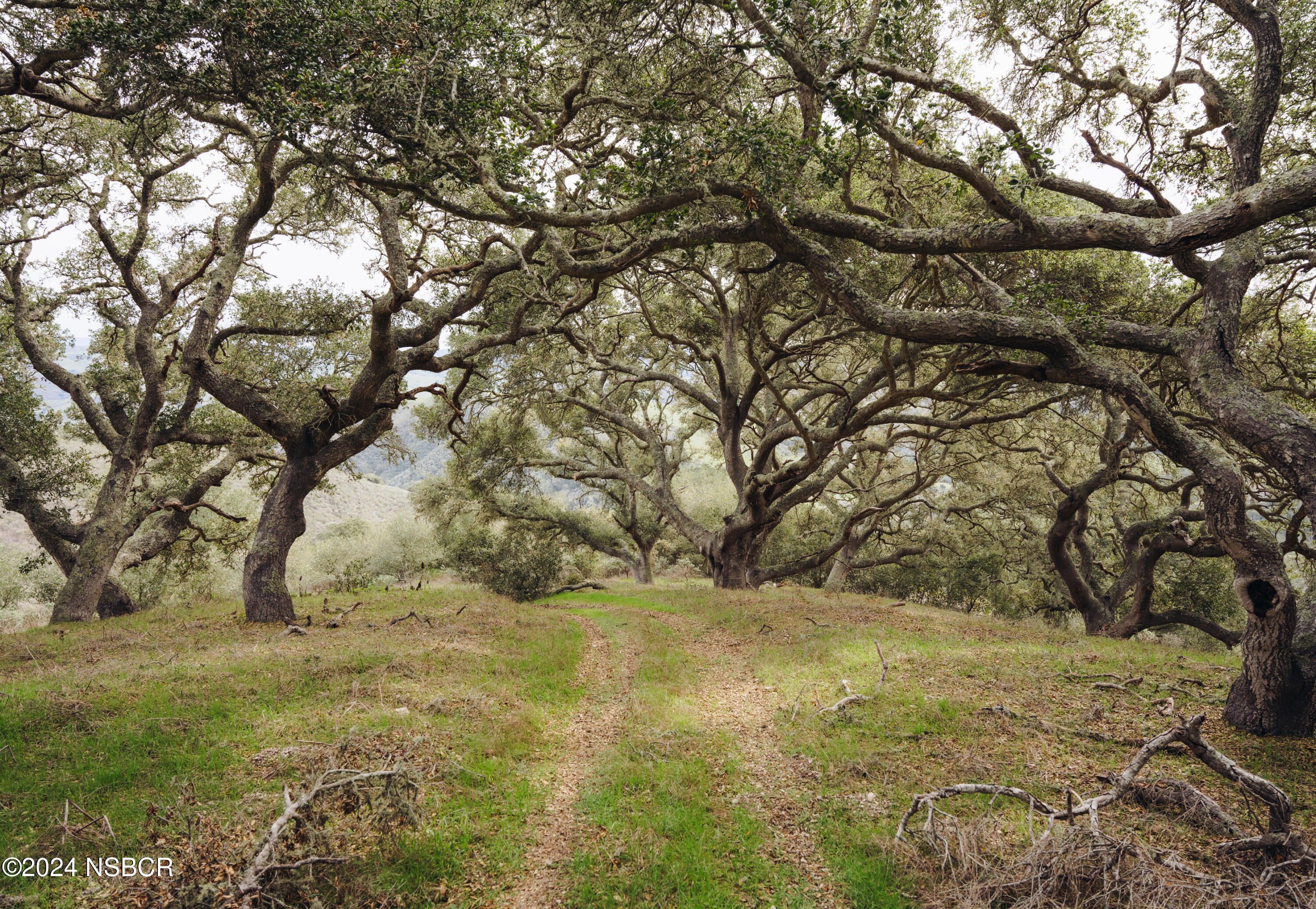 Lompoc, California 93436, United States, 10 Bedrooms Bedrooms, ,4 BathroomsBathrooms,Residential,Pending,196254