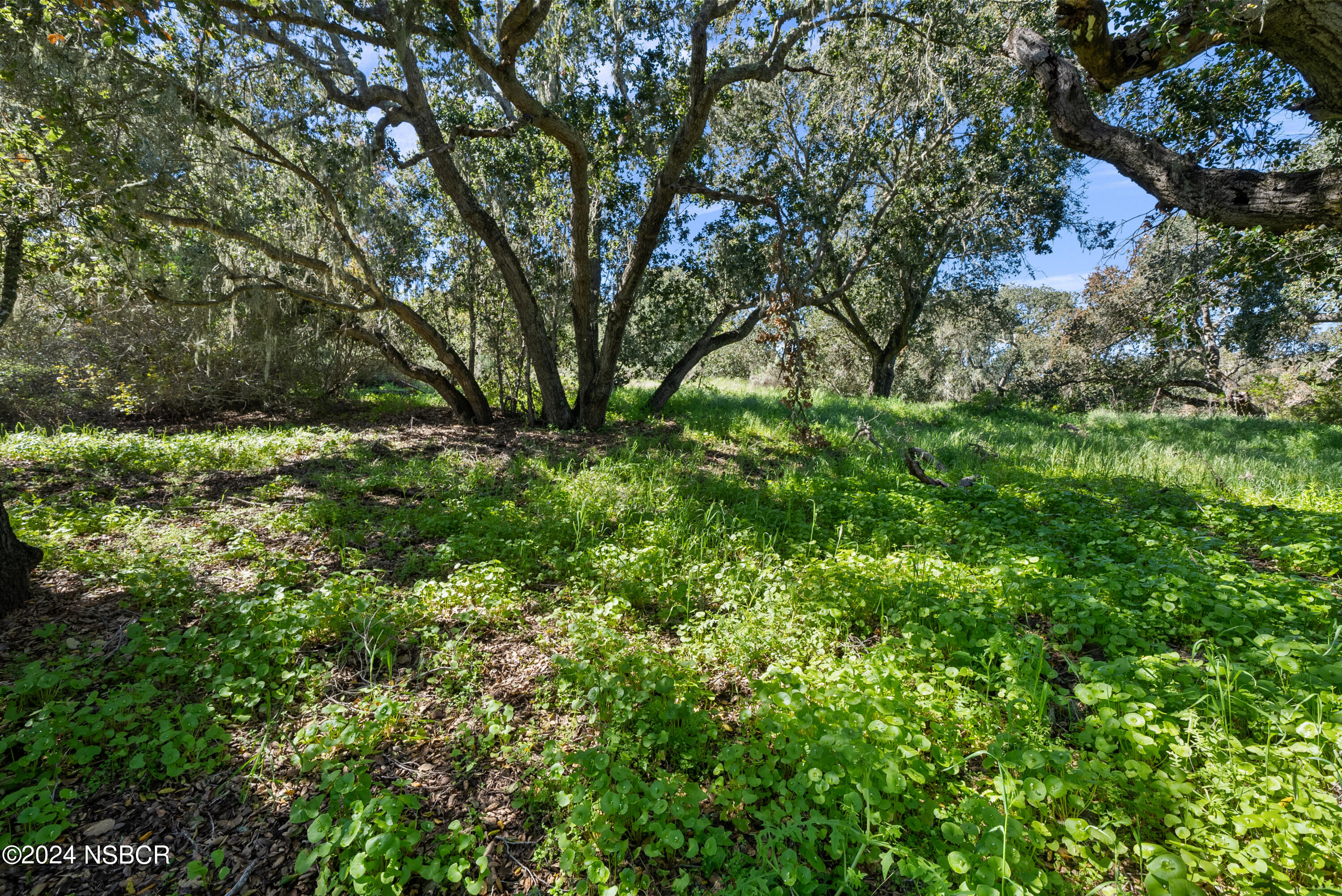 Solvang, California 93463, United States, 3 Bedrooms Bedrooms, ,2 BathroomsBathrooms,Residential,Active,91032