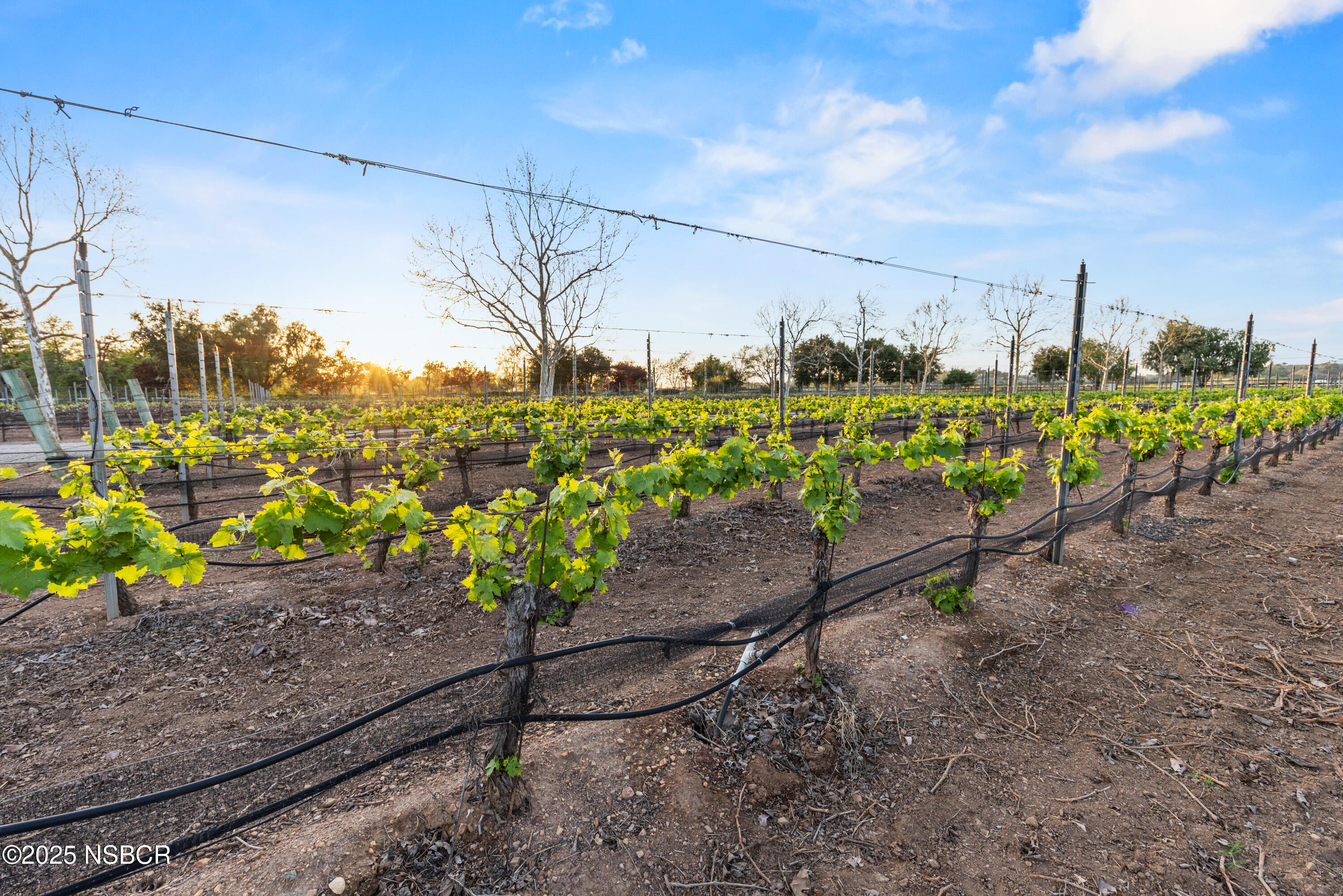 Santa Ynez, California 93460, United States, 4 Bedrooms Bedrooms, ,3 BathroomsBathrooms,Residential,Pending,121507