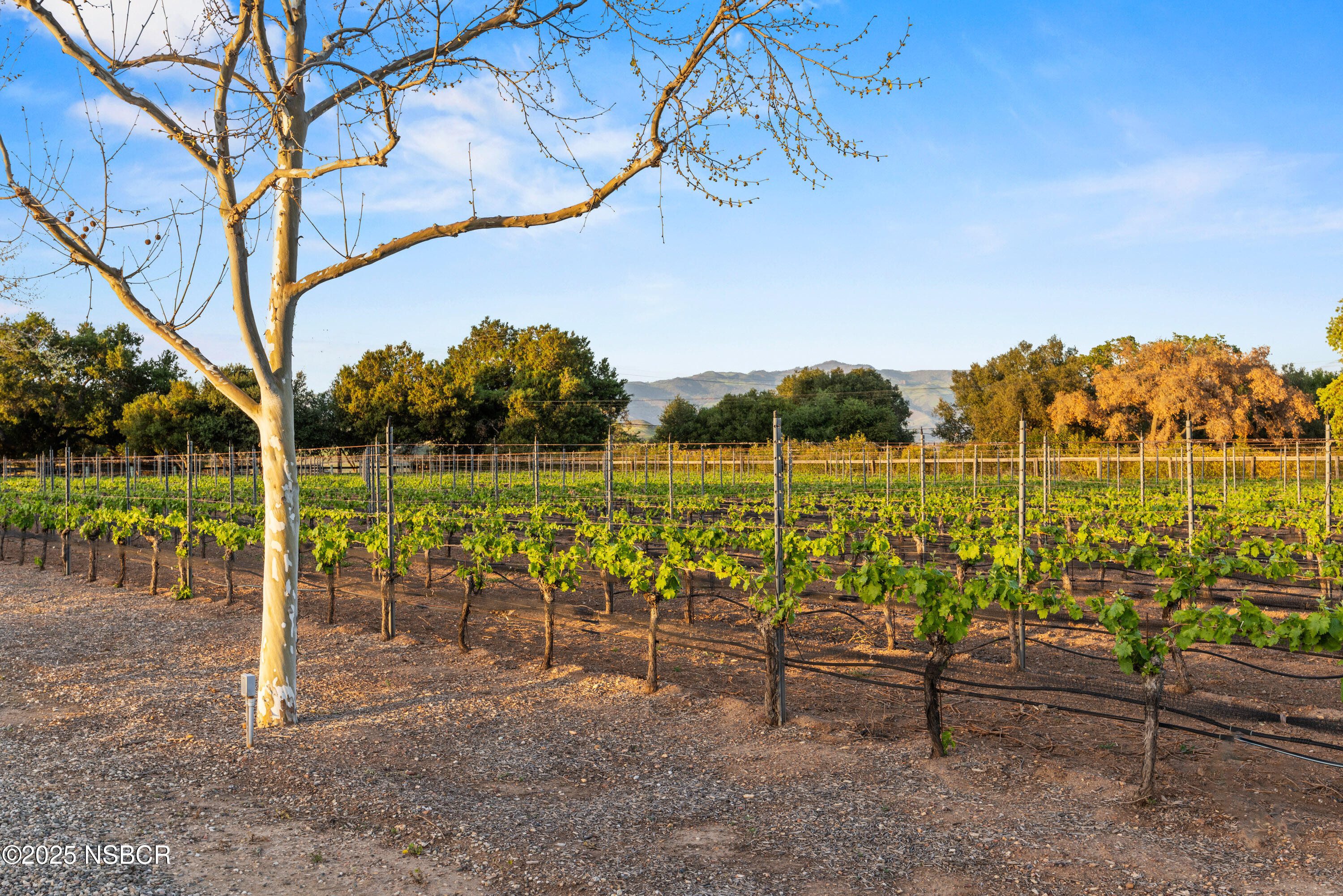 Santa Ynez, California 93460, United States, 4 Bedrooms Bedrooms, ,3 BathroomsBathrooms,Residential,Pending,121507