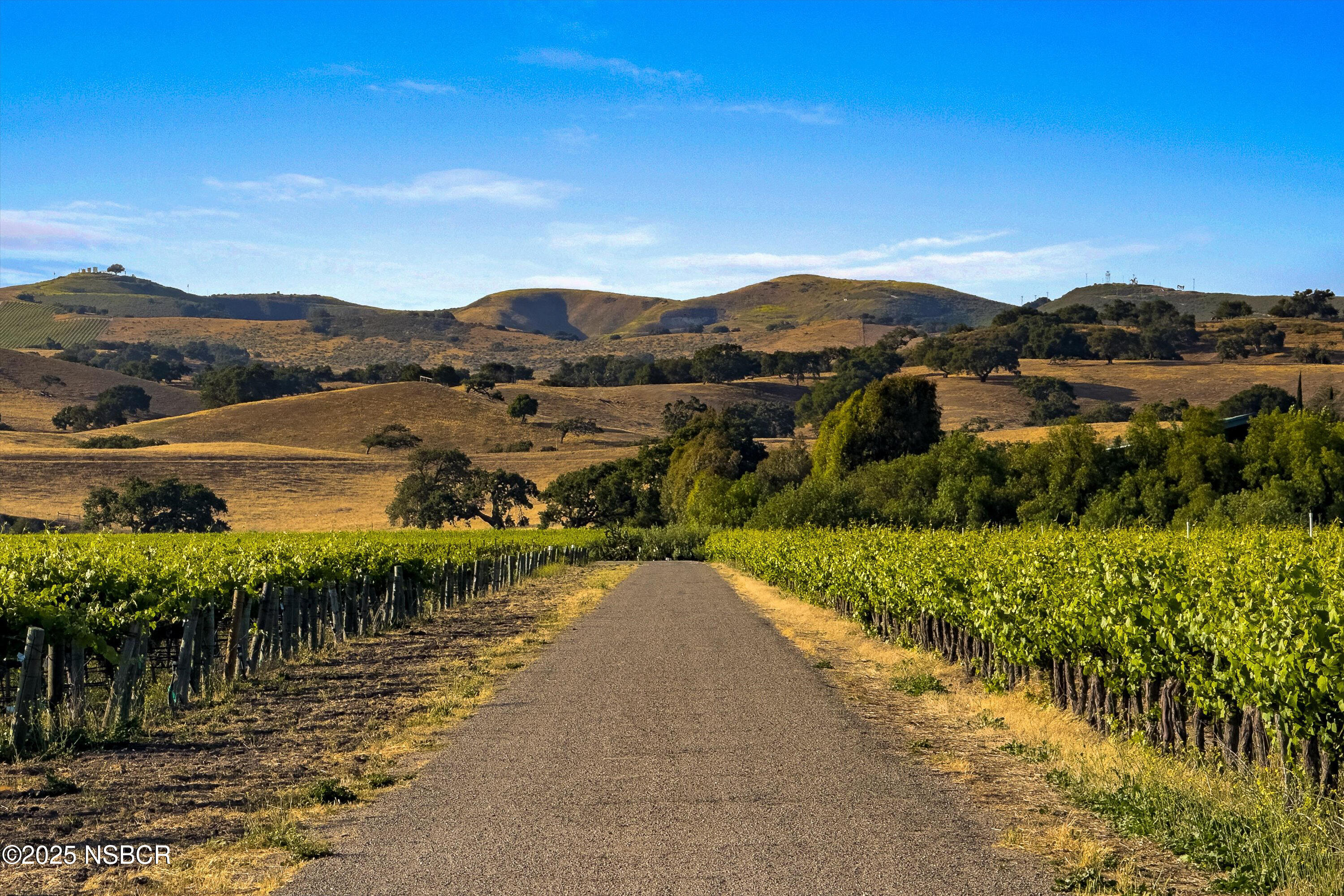 Los Alamos, California 93440, United States, ,Land,Active,171340