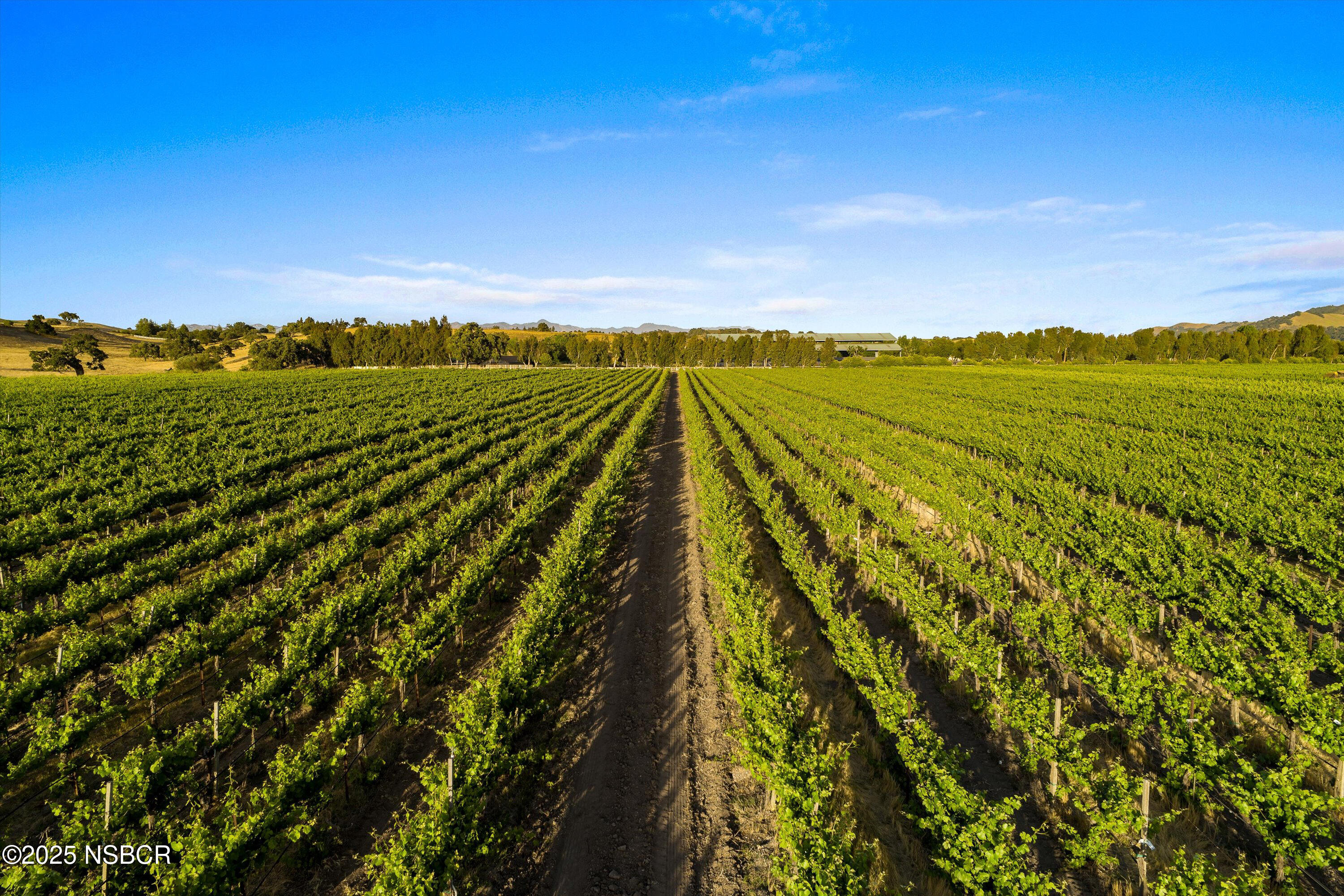 Los Alamos, California 93440, United States, ,Land,Active,171340