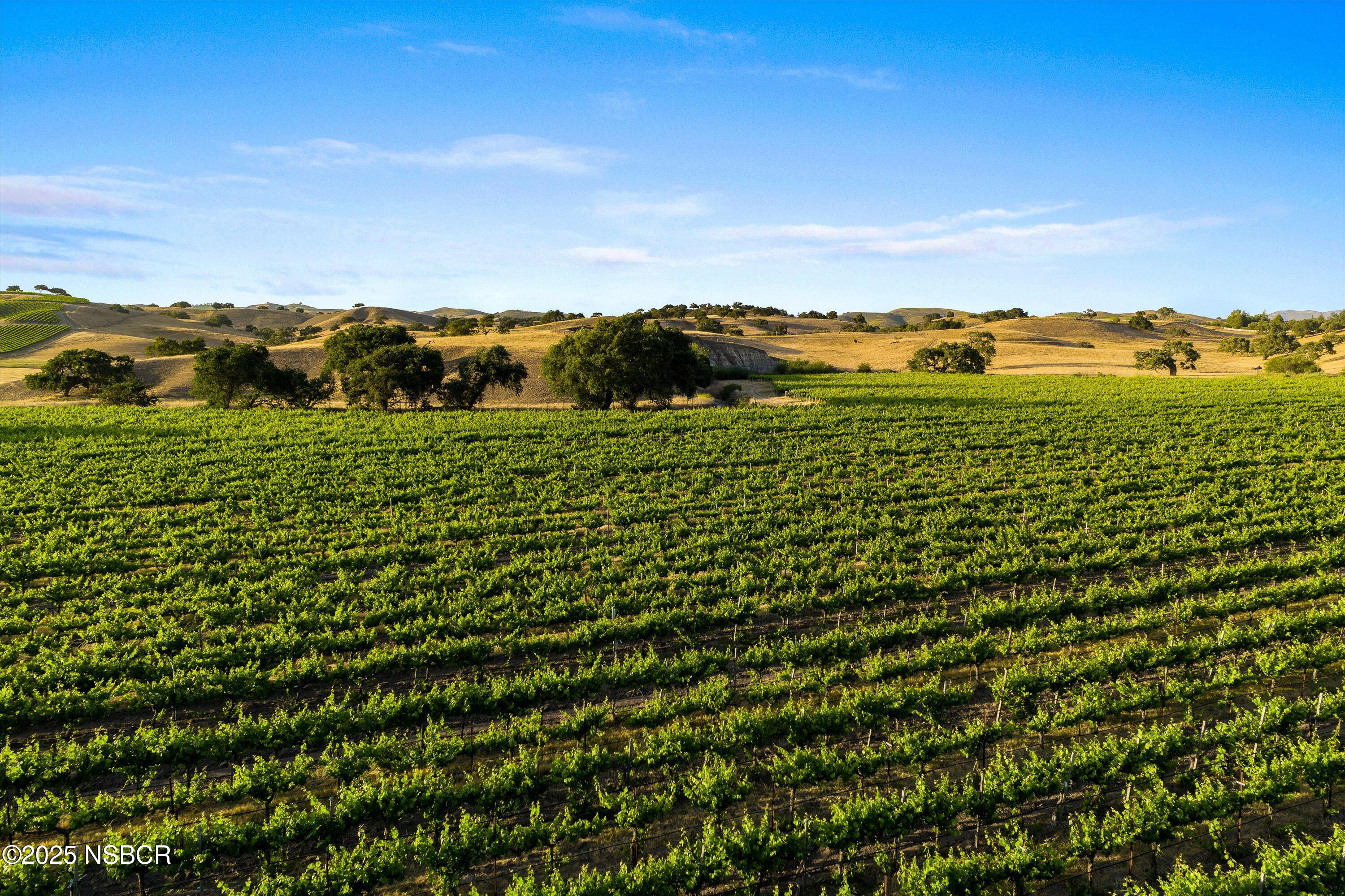 Los Alamos, California 93440, United States, ,Land,Active,171340