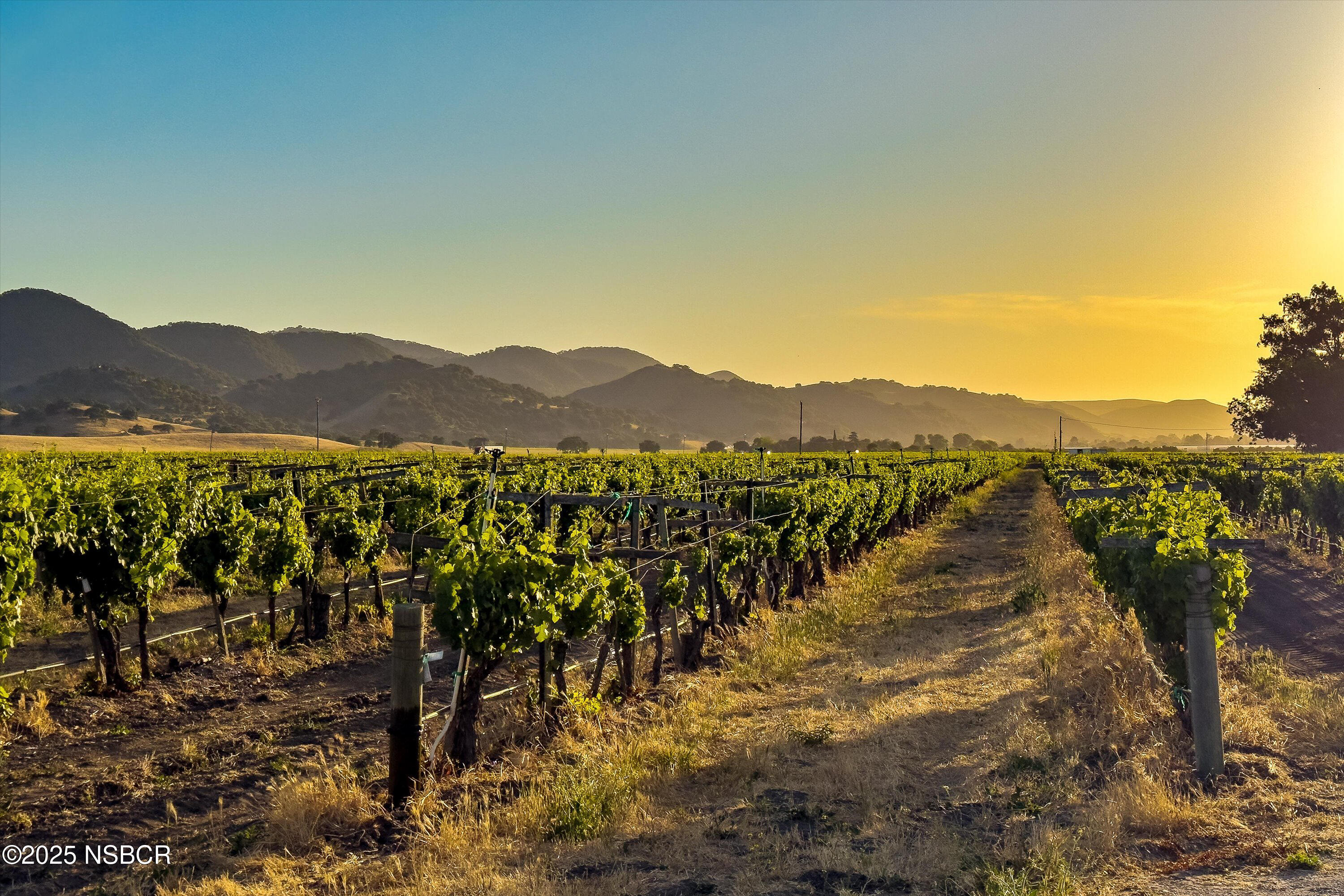 Los Alamos, California 93440, United States, ,Land,Active,171340