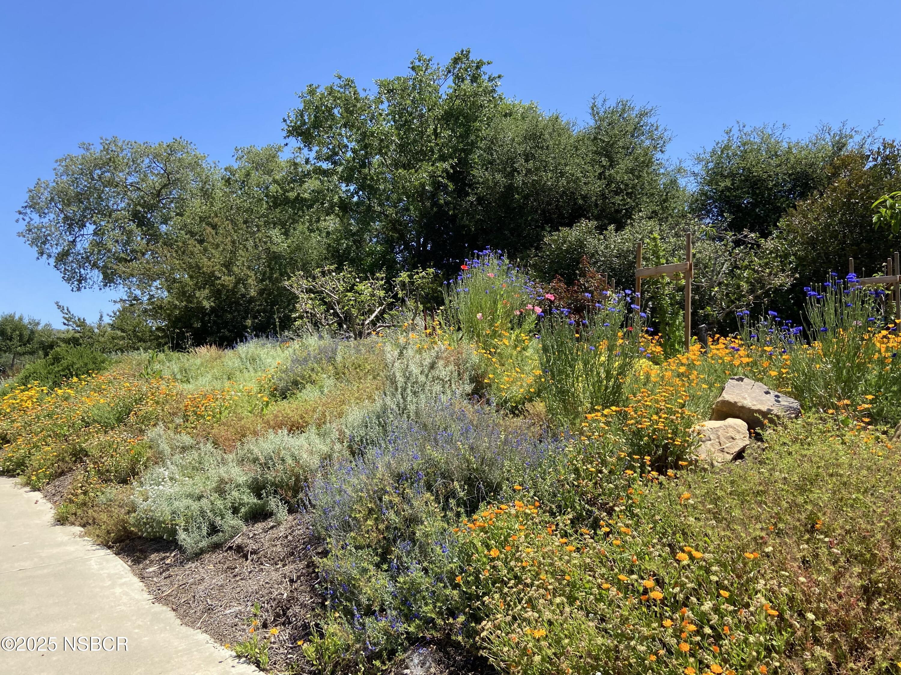 Santa Ynez, California 93460, United States, 4 Bedrooms Bedrooms, ,3 BathroomsBathrooms,Residential,Active,162758