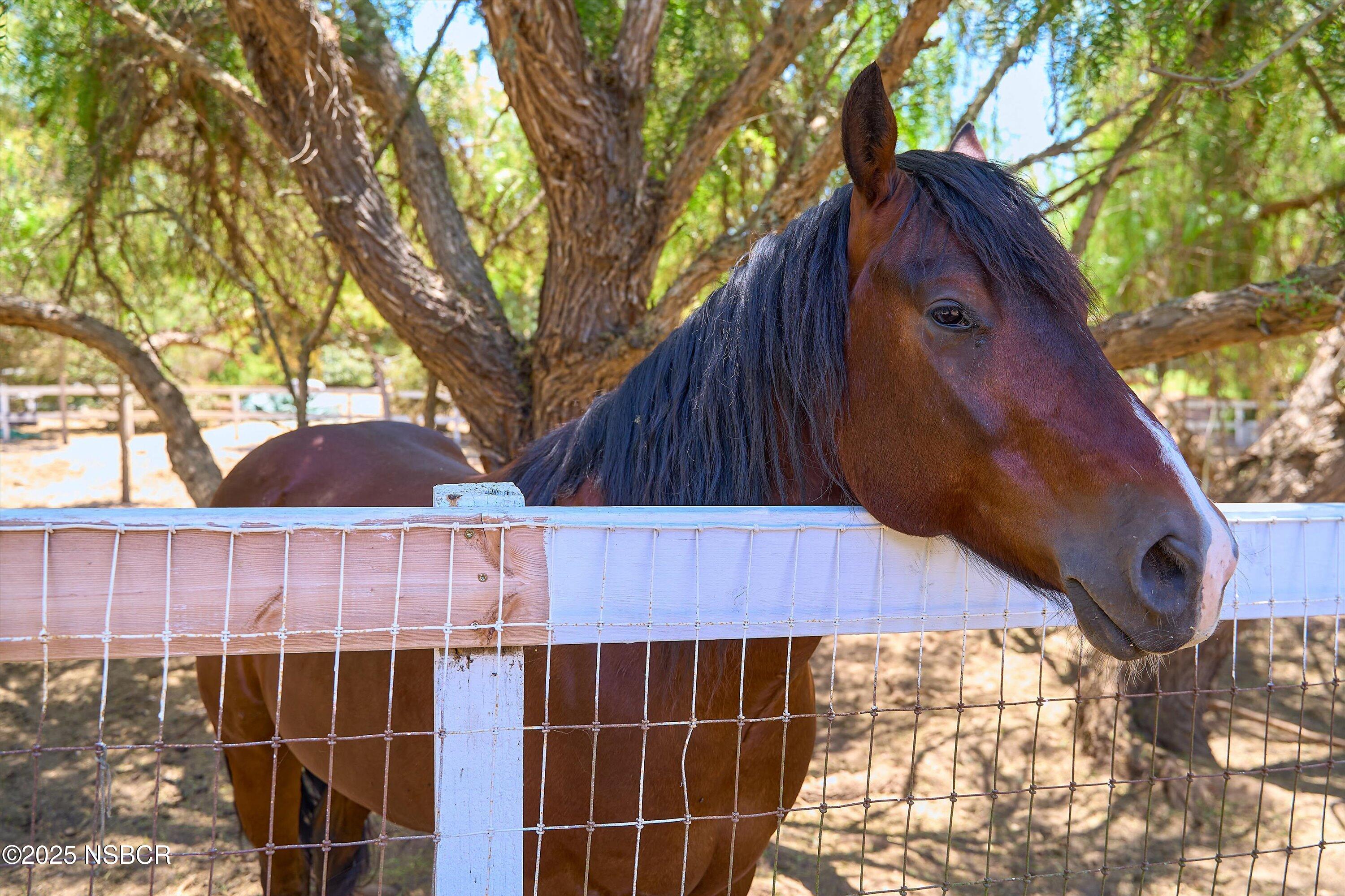 Santa Ynez, California 93460, United States, 4 Bedrooms Bedrooms, ,3 BathroomsBathrooms,Residential,Active,162758