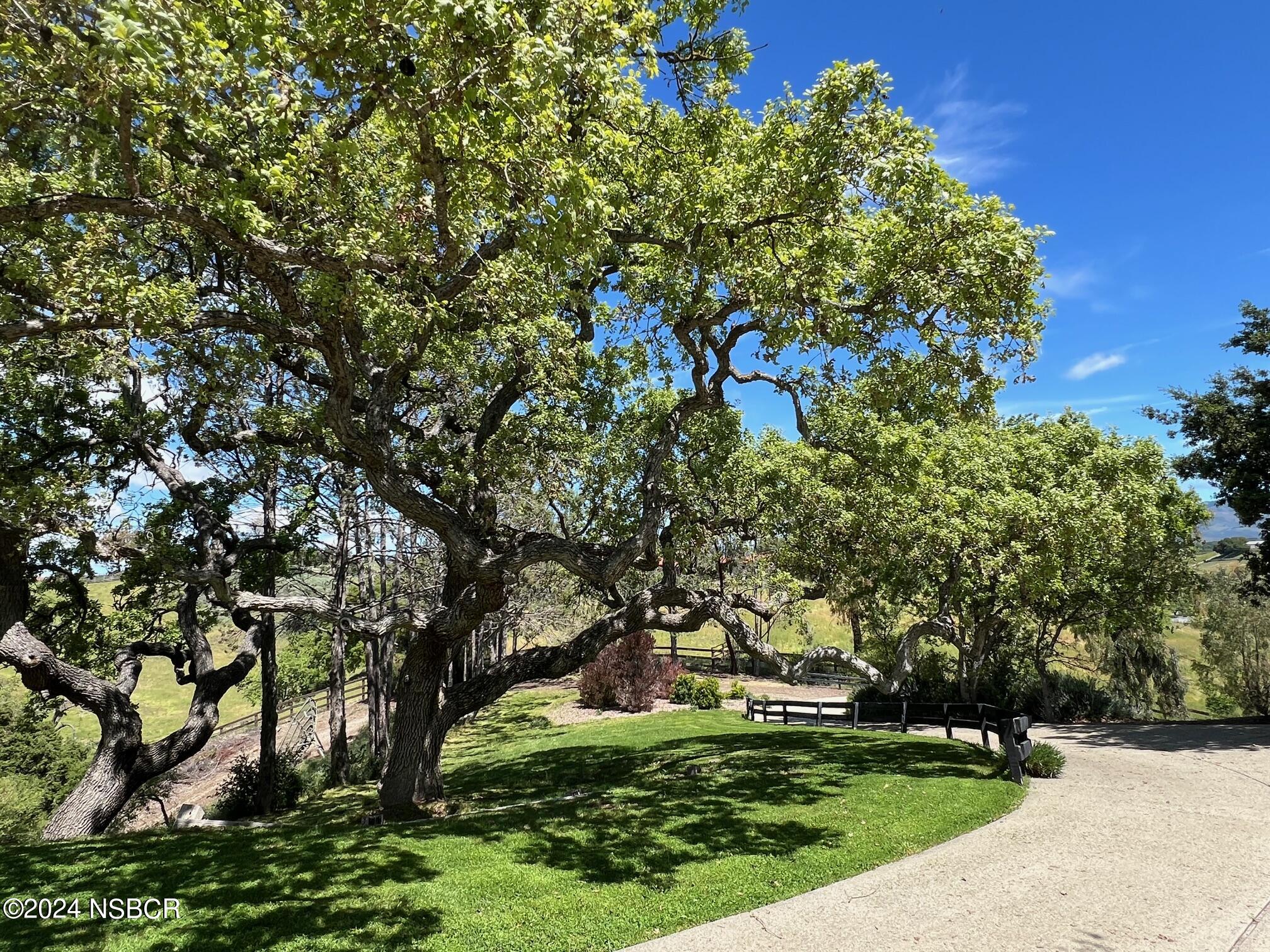 Santa Ynez, California 93460, United States, 4 Bedrooms Bedrooms, ,4 BathroomsBathrooms,Residential,Active,68473