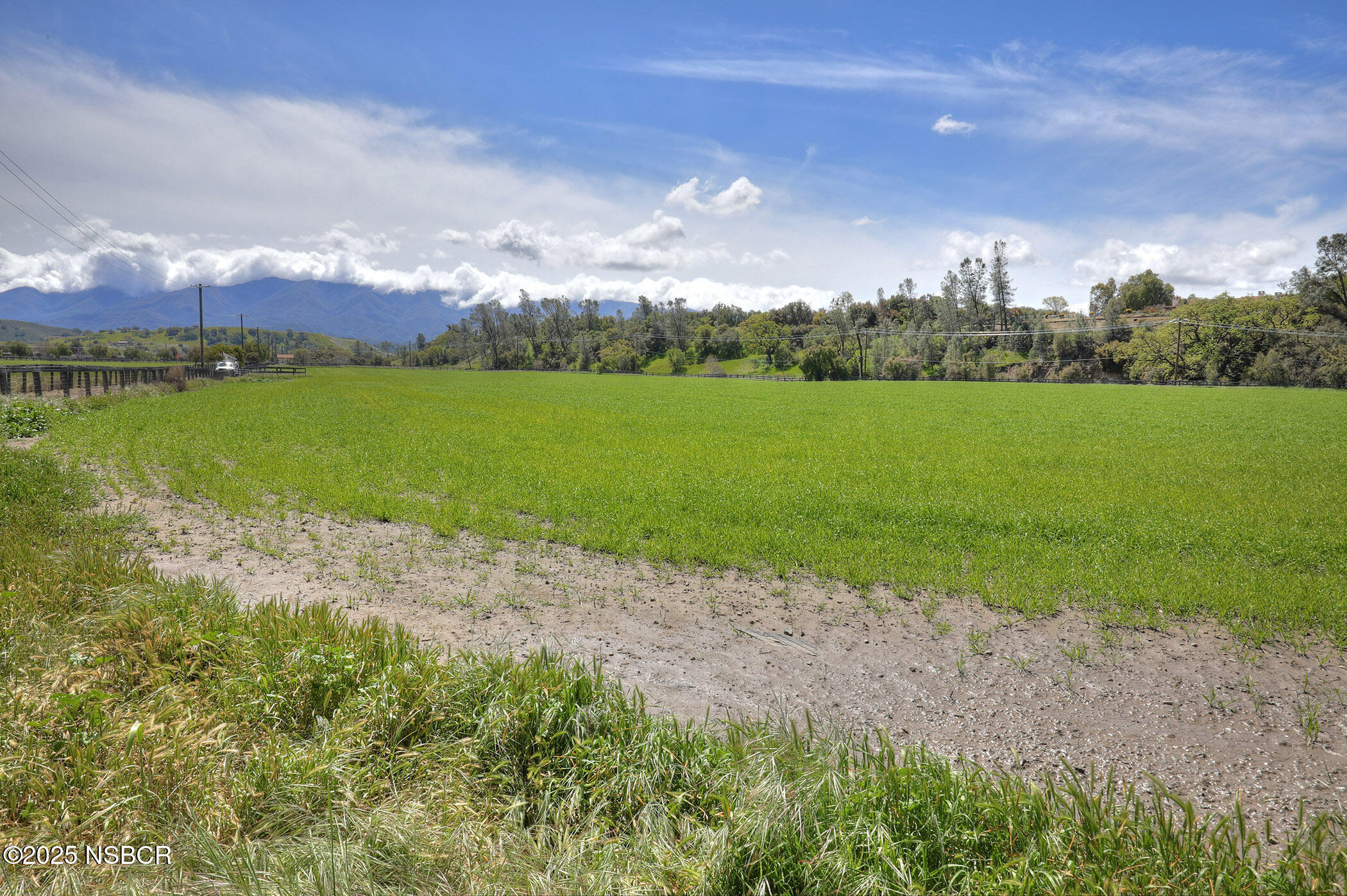 Santa Ynez, California 93460, United States, ,Land,Active,14253