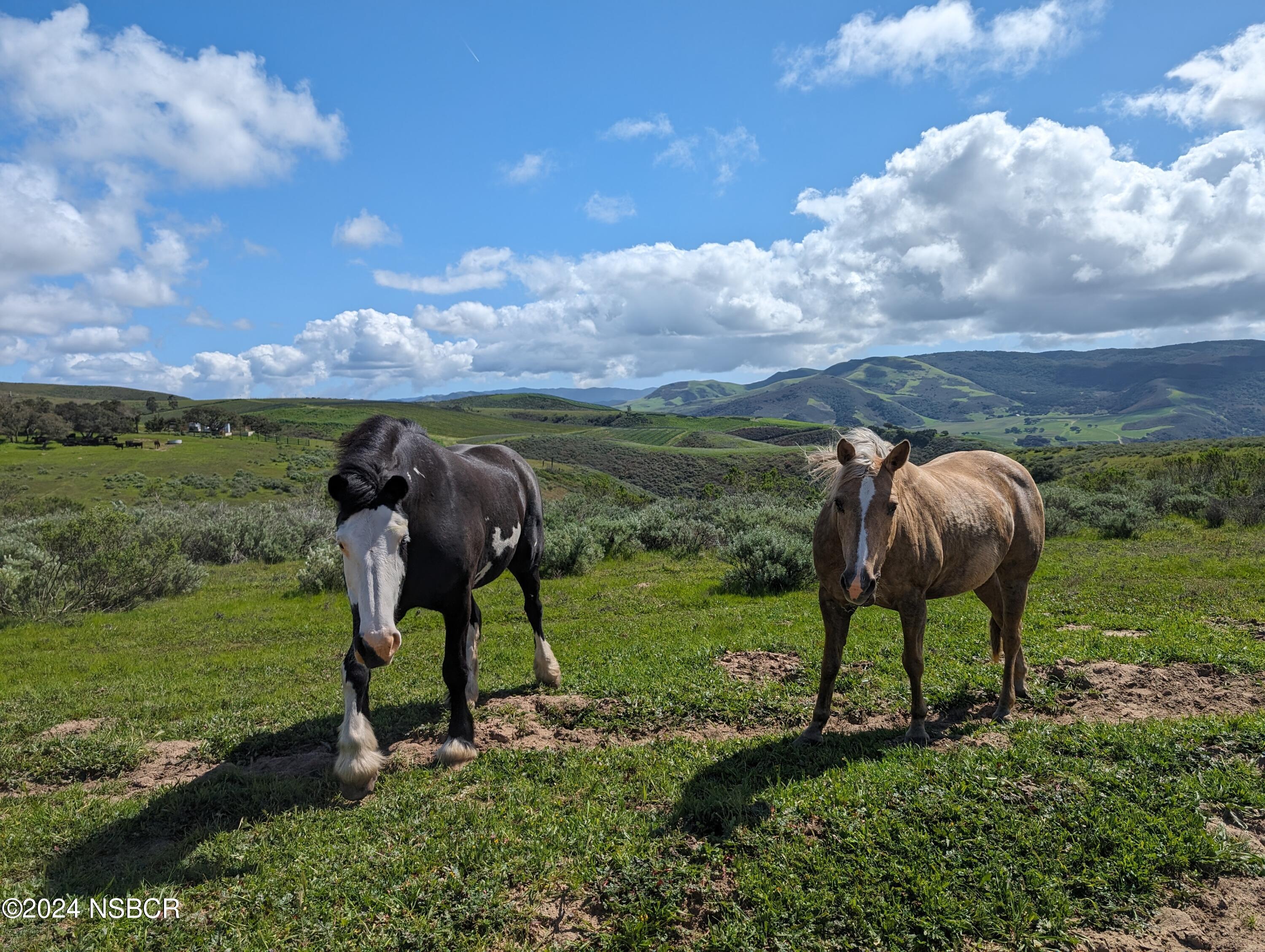 Lompoc, California 93436, United States, ,Land,Active,72587