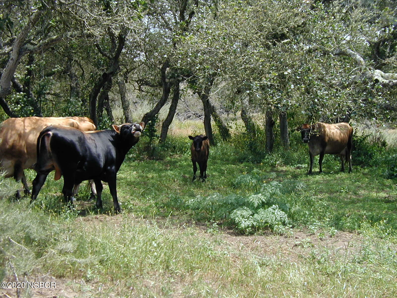 Lompoc, California 93436, United States, ,Land,Active,72587