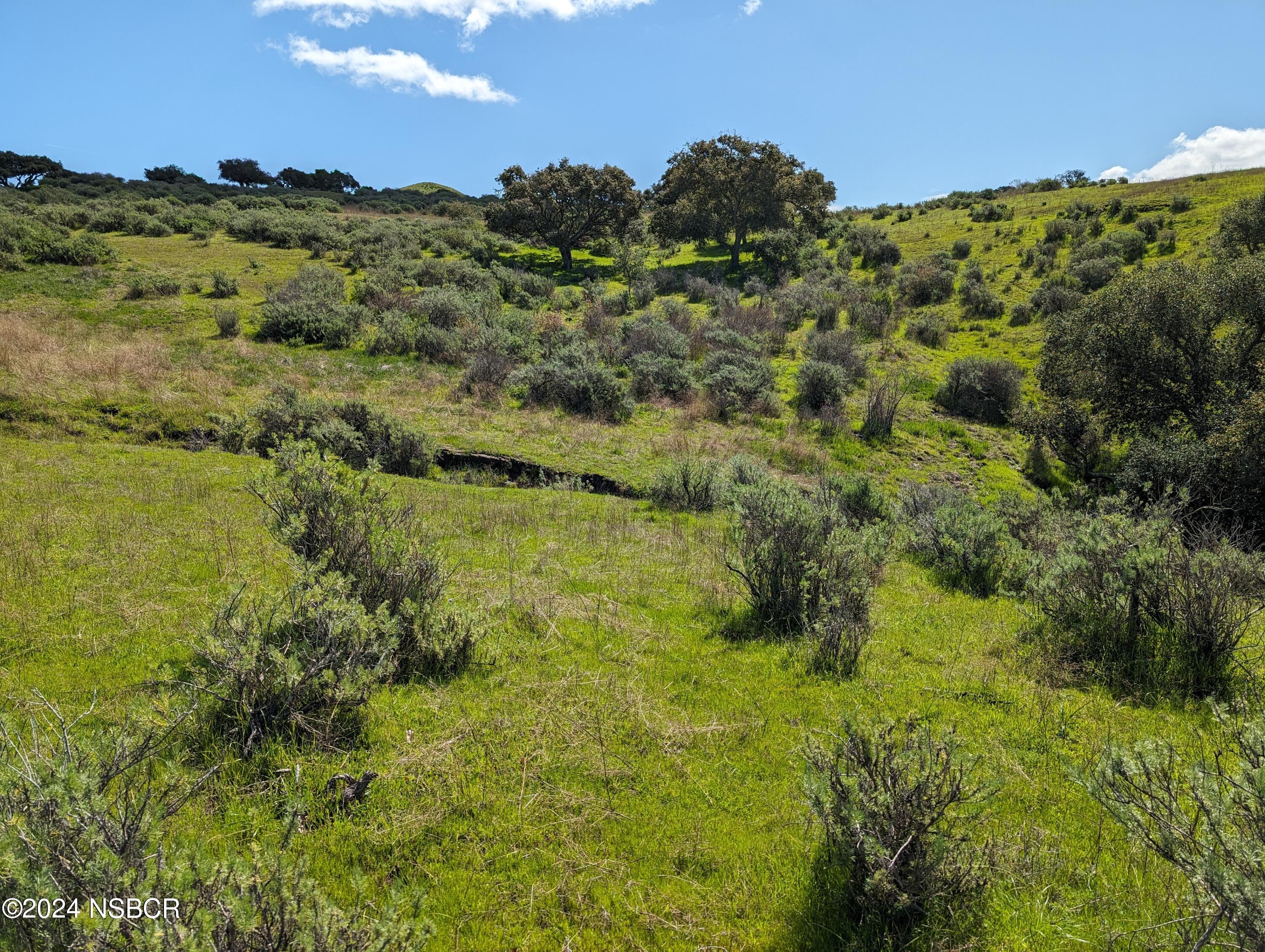 Lompoc, California 93436, United States, ,Land,Active,72587