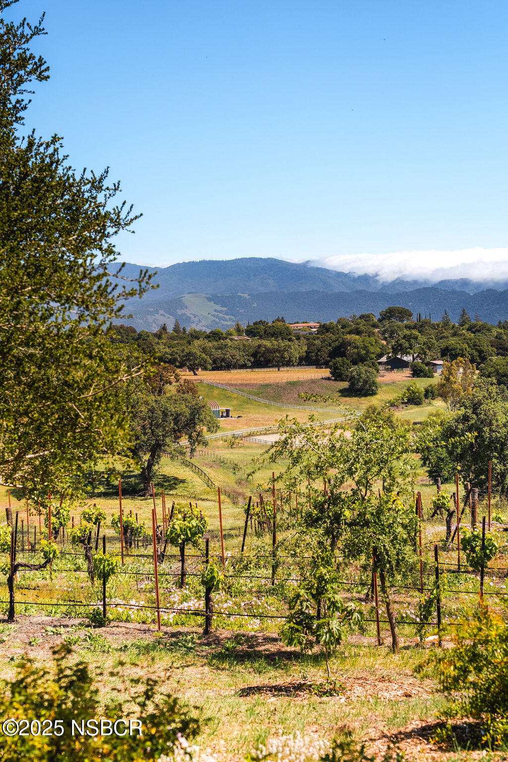 Santa Ynez, California 93460, United States, 4 Bedrooms Bedrooms, ,6 BathroomsBathrooms,Residential,Active,204391