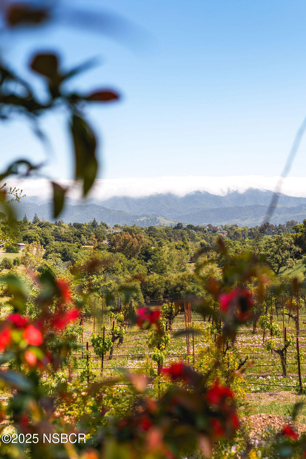 Santa Ynez, California 93460, United States, 4 Bedrooms Bedrooms, ,6 BathroomsBathrooms,Residential,Active,204391
